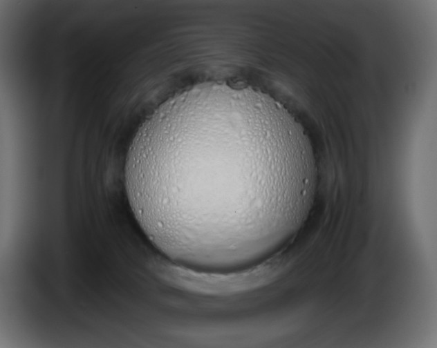 X0000086330034200704131731