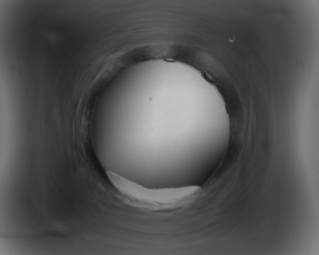 X0000086330035200704131731