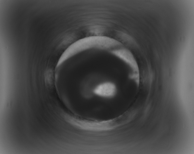 X0000086330036200704131731