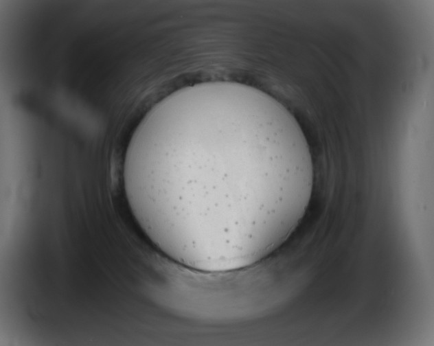 X0000086330038200704131731