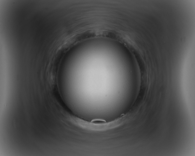 X0000086330039200704131731