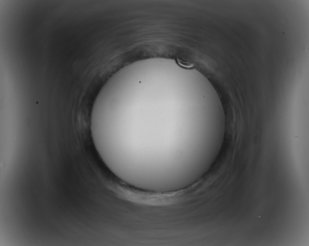 X0000086330040200704131731