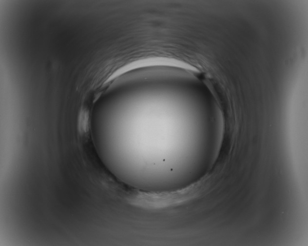 X0000086330041200704131731