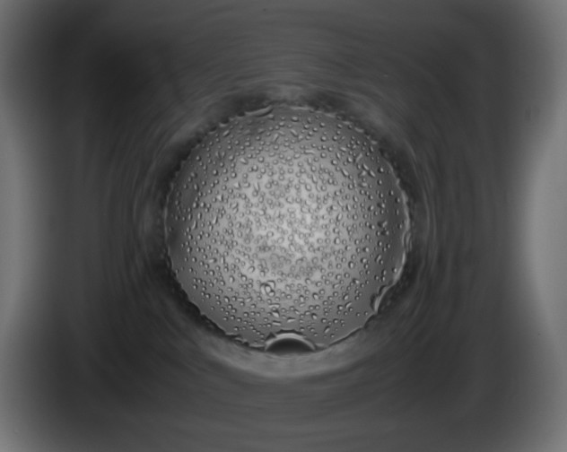 X0000086330043200704131731