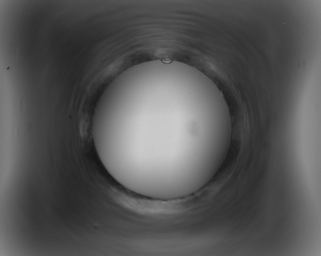 X0000086330044200704131731