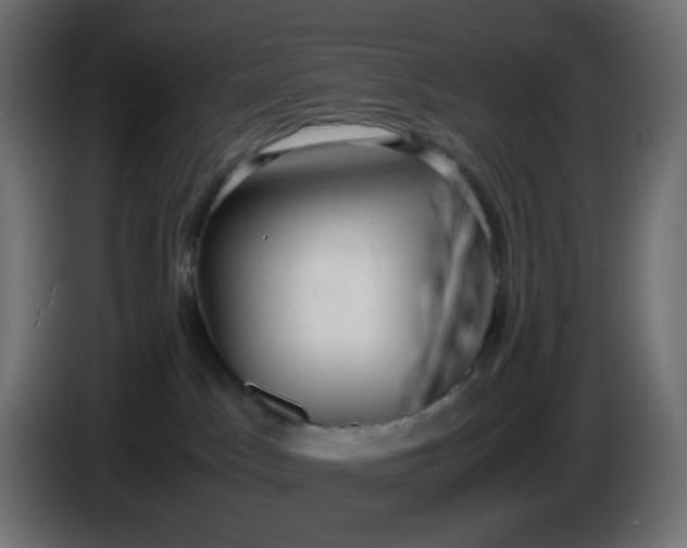 X0000086330045200704131731