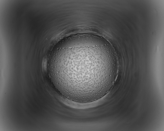 X0000086330047200704131731