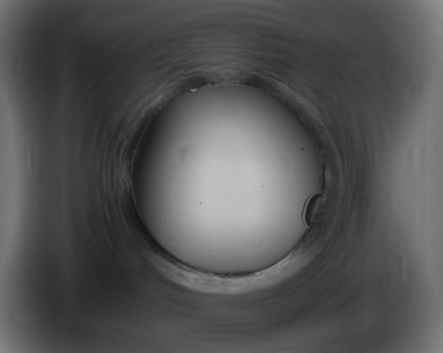 X0000086330048200704131731