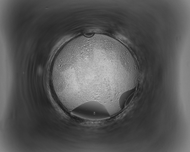 X0000086330049200704131730