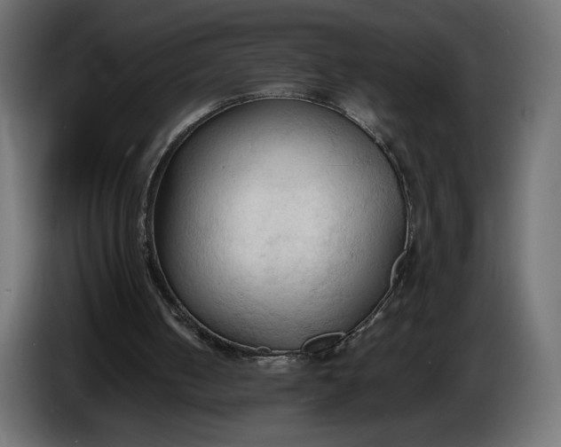 X0000086330050200704131730