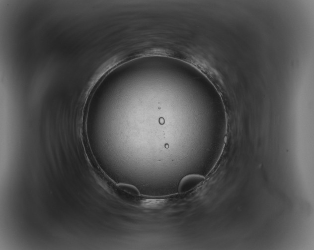 X0000086330051200704131730