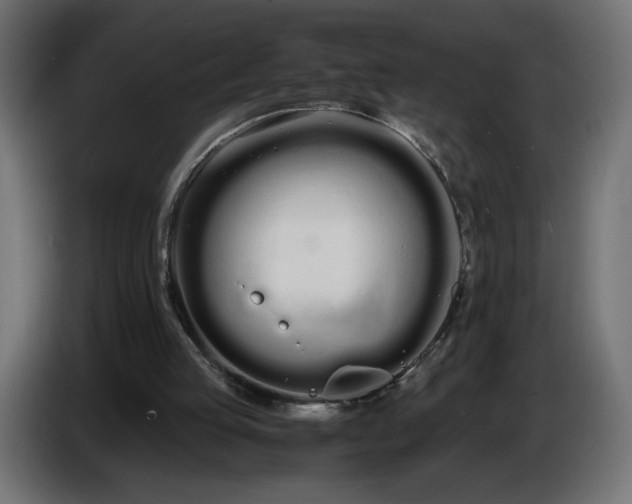 X0000086330053200704131730