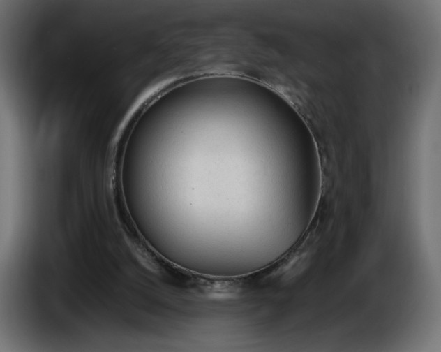 X0000086330056200704131730