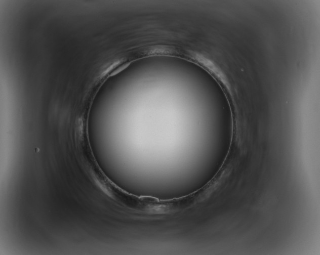 X0000086330057200704131730