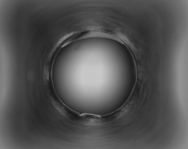 X0000086330060200704131730