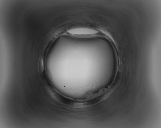 X0000086330061200704131730