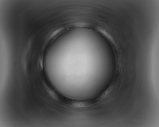 X0000086330062200704131730