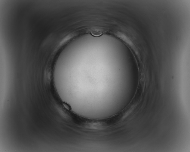 X0000086330063200704131730