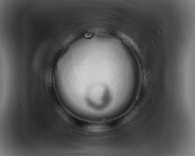 X0000086330065200704131730