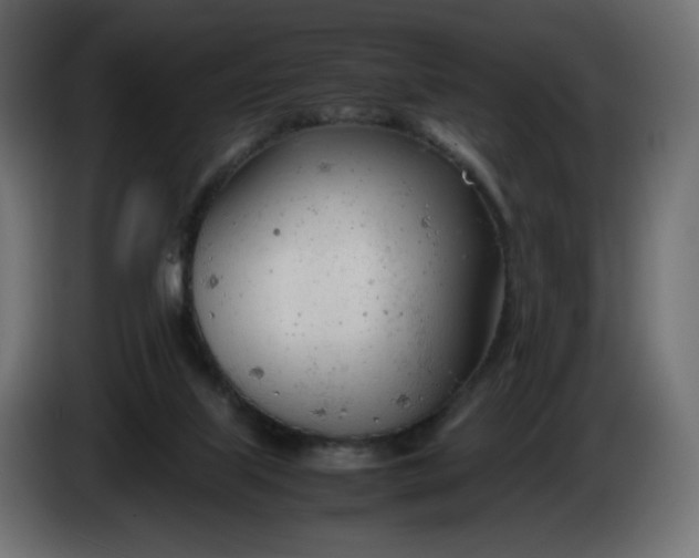 X0000086330067200704131730