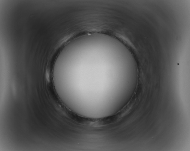 X0000086330068200704131730