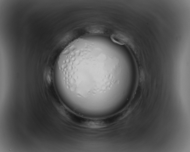 X0000086330069200704131730