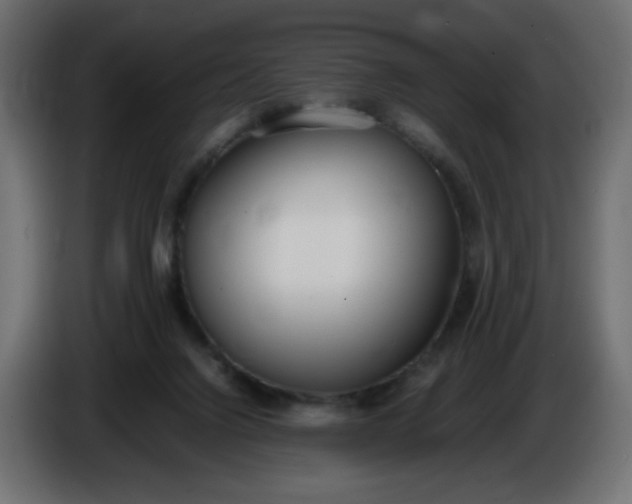 X0000086330072200704131730