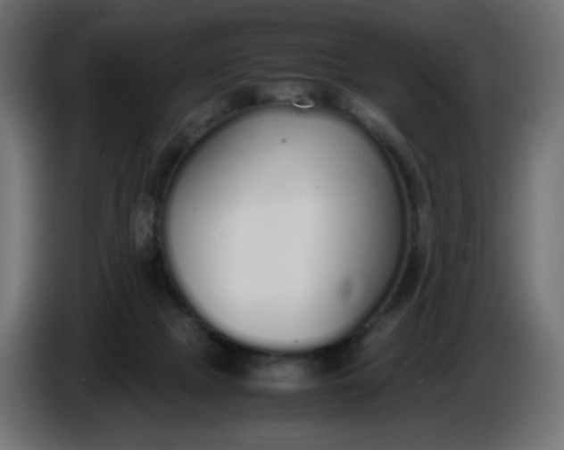 X0000086330073200704131730