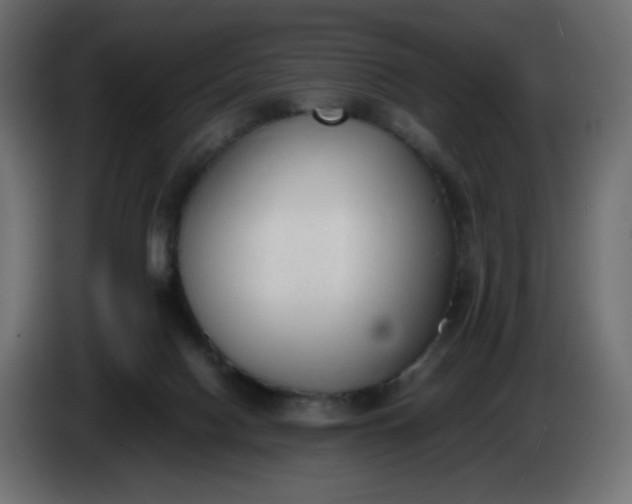 X0000086330074200704131731