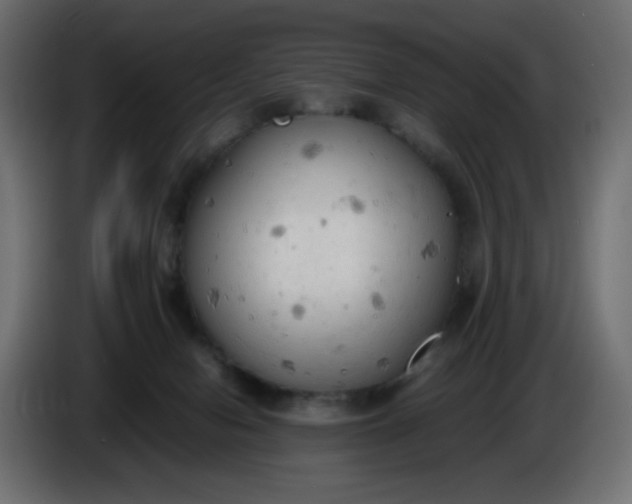 X0000086330078200704131731