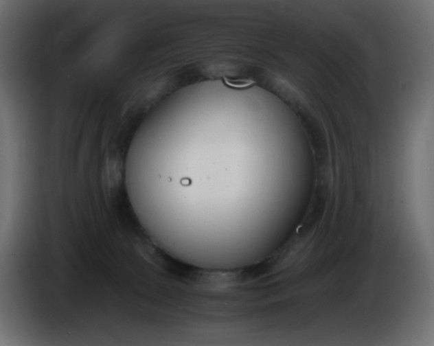 X0000086330081200704131731