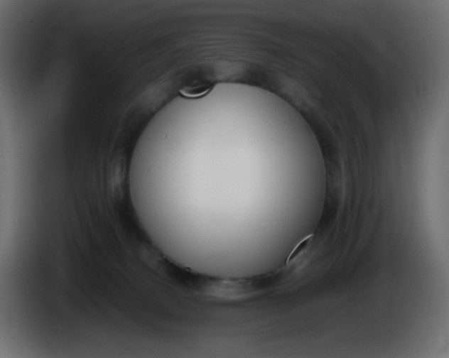 X0000086330082200704131731