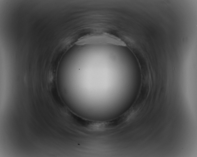 X0000086330084200704131731