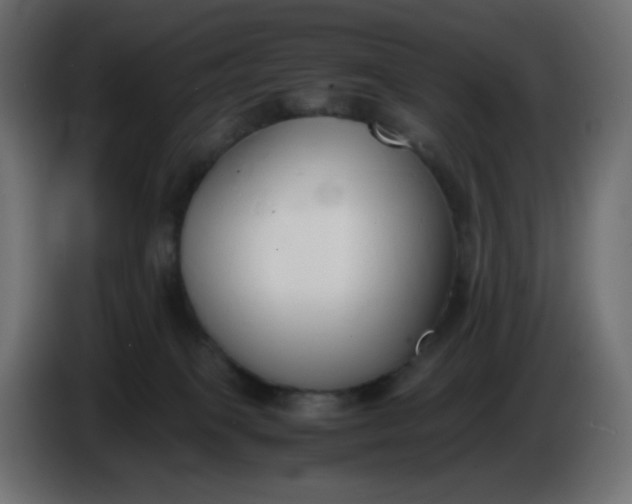 X0000086330085200704131731