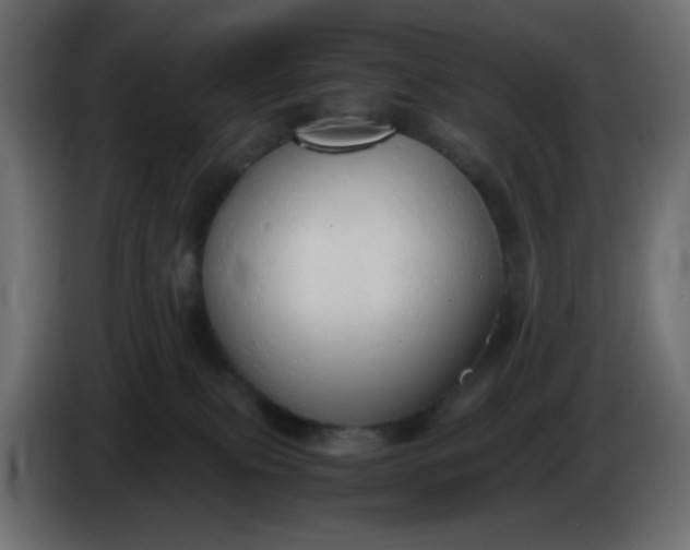 X0000086330087200704131731