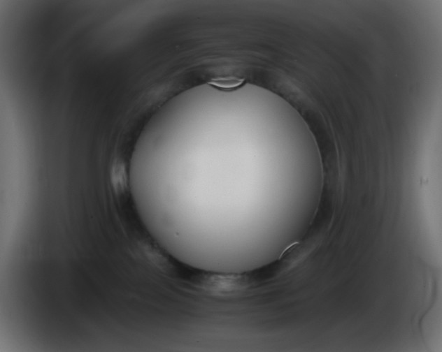 X0000086330089200704131731