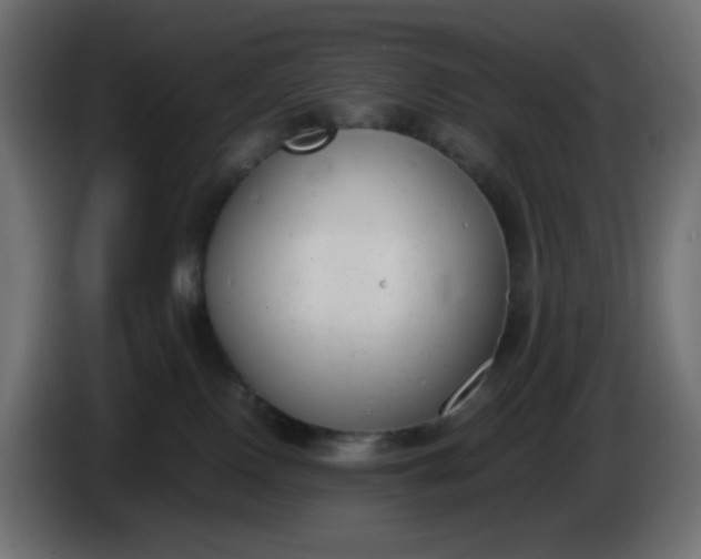 X0000086330090200704131731