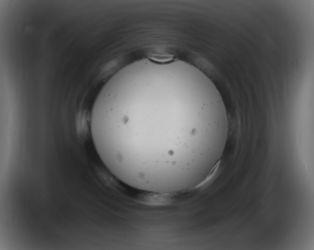 X0000086330094200704131731