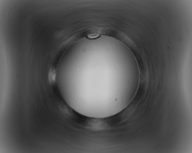 X0000086330095200704131731