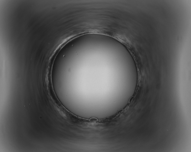 X0000086330098200704131730