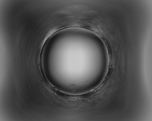 X0000086330099200704131730