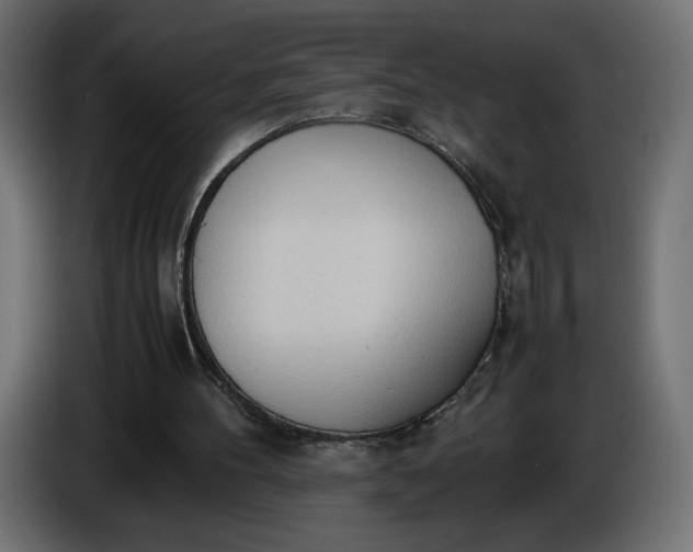 X0000086330100200704131730