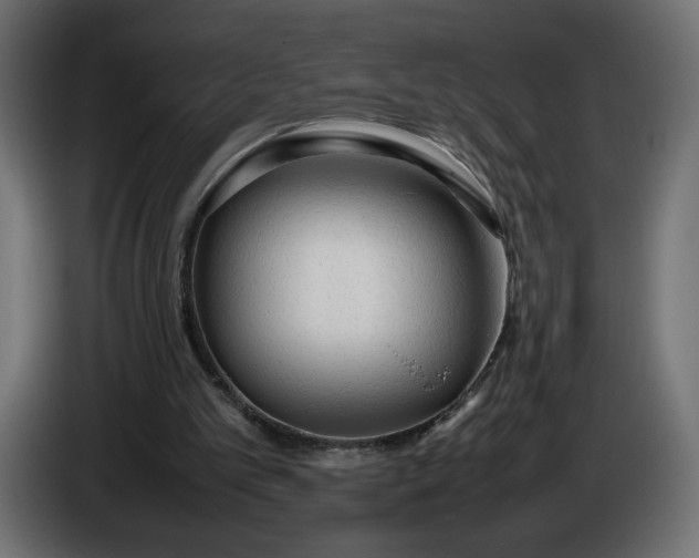 X0000086330101200704131730