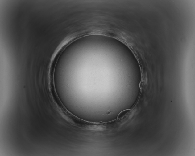 X0000086330102200704131730