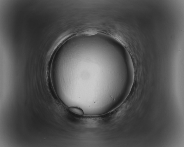 X0000086330103200704131730