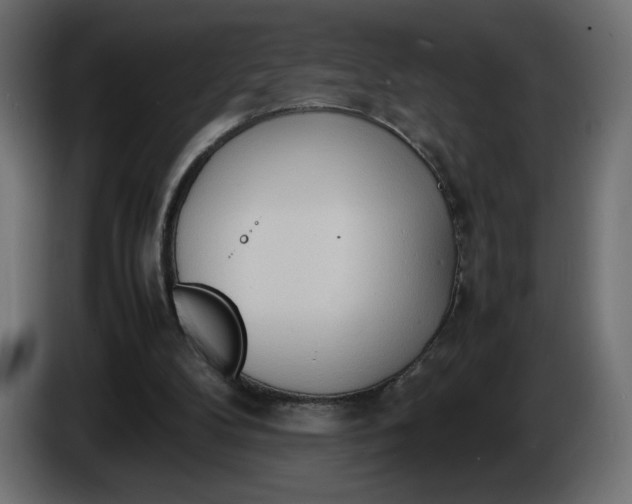 X0000086330104200704131730