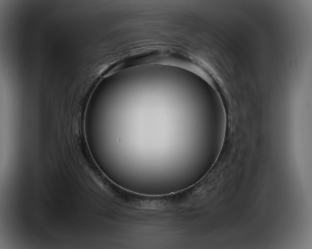 X0000086330105200704131730