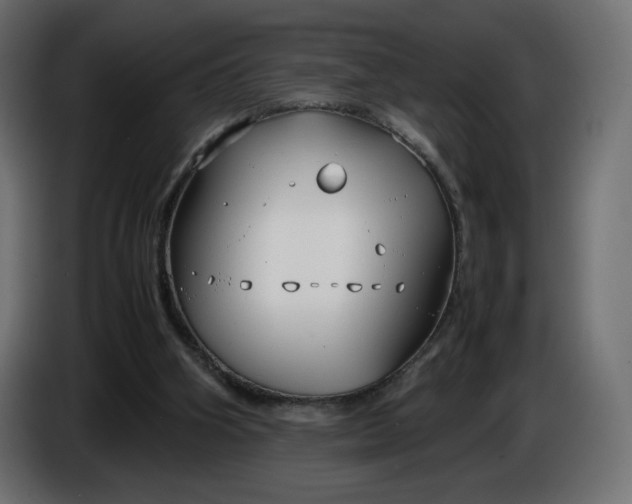 X0000086330106200704131730