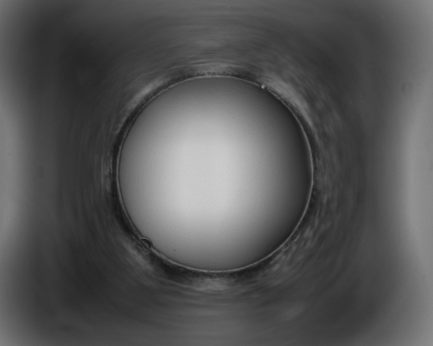 X0000086330107200704131730