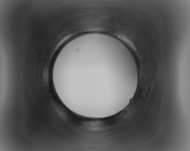 X0000086330108200704131730